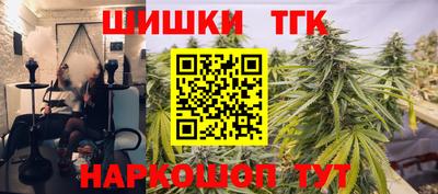 индика Будённовск